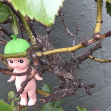 Приключения дынного эльфа Сонни