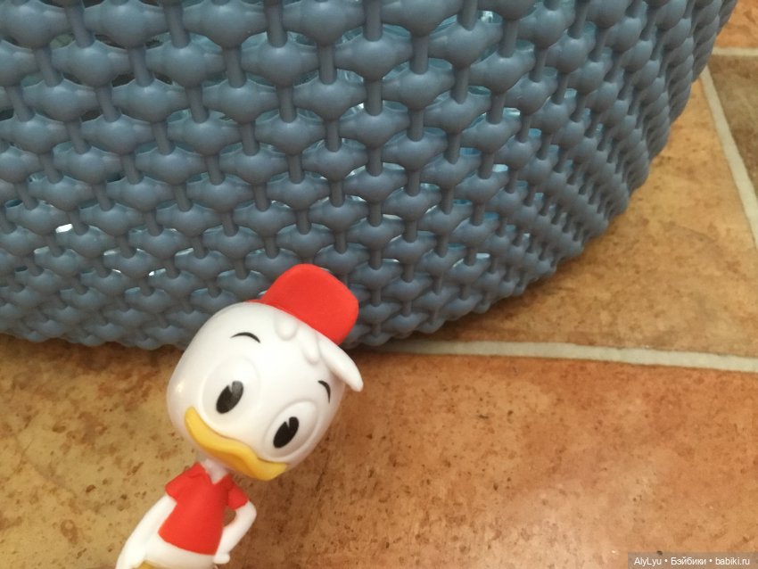 Самый богатый селезень в мире (фото 3)