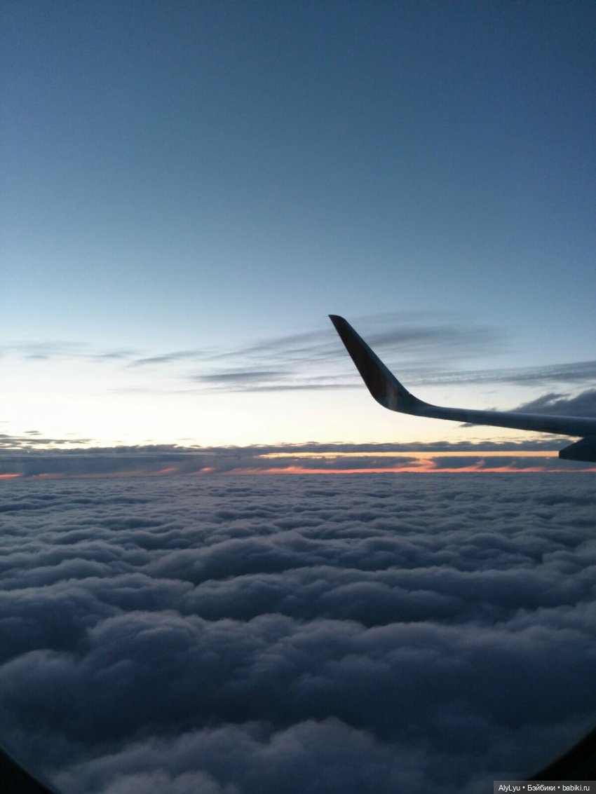 I'm a passenger — Куклы ASI (Аси): испанские пупсы (фото 3)