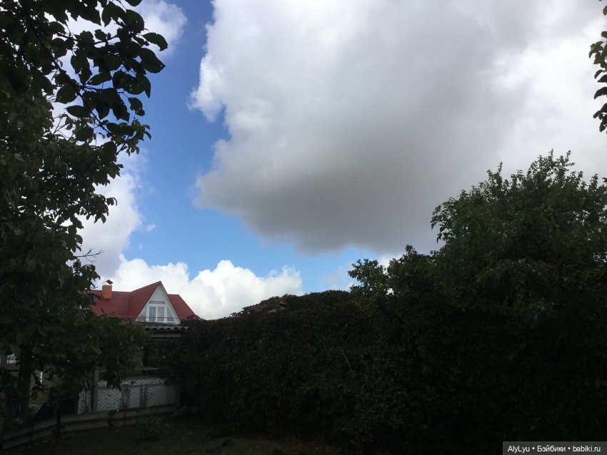 Вместе весело шагать / Приключения в саду