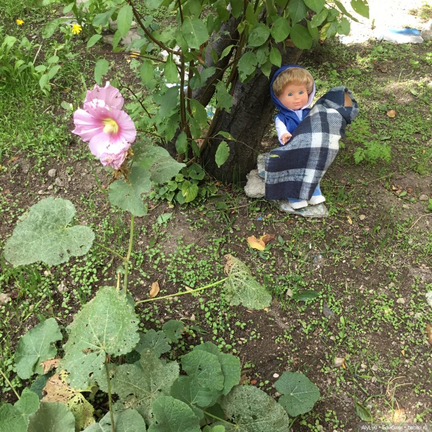 Вместе весело шагать / Приключения в саду (фото 4)