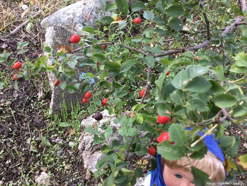 Вместе весело шагать / Приключения в саду (фото 10)