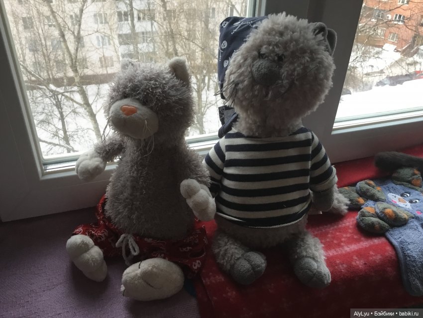 Коты-обрмоты Orange Toys — Интересные игрушки и фигурки (разное): редкие