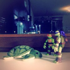 Старые (относительно) фото с черепашками-ниндзя