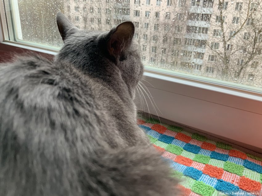 Пупс Mio Mio Carmen Gonzalez (фото 10)