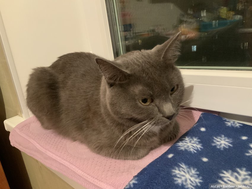 Серхио и гранат — Куклы Paola Reina (Паола Рейна): новинки (фото 4)