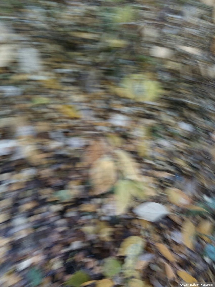 Сережа в лесу — Куклы Paola Reina (Паола Рейна): новинки