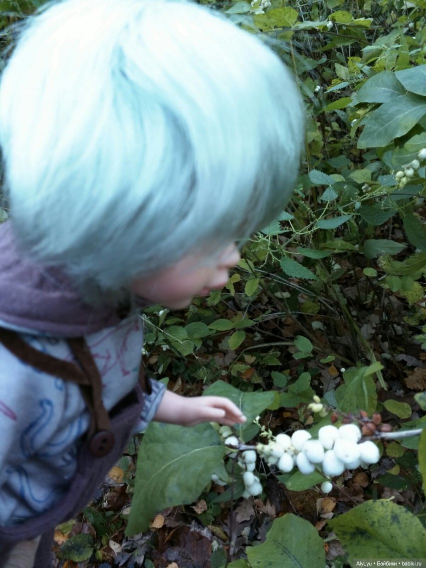 Сережа в лесу — Куклы Paola Reina (Паола Рейна): новинки