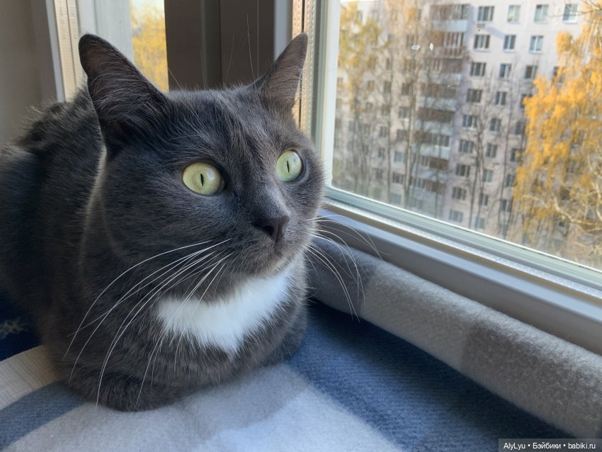 Сережа в лесу — Куклы Paola Reina (Паола Рейна): новинки