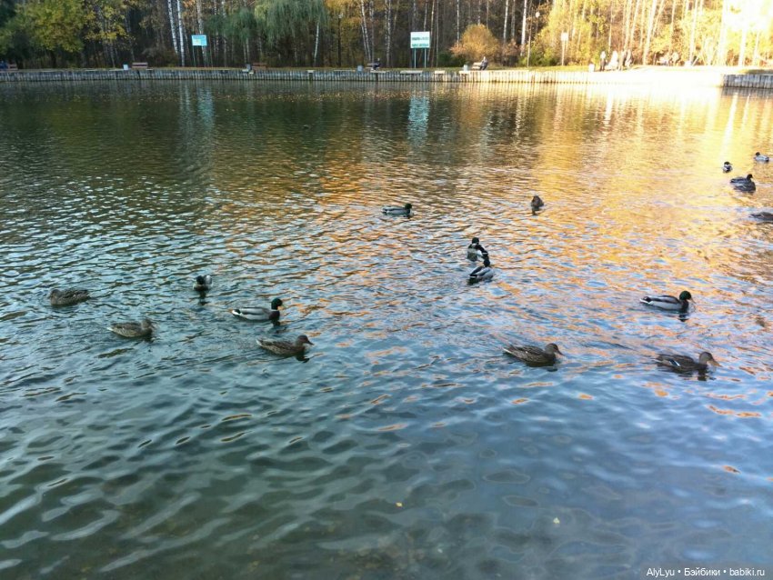 Сережа в лесу — Куклы Paola Reina (Паола Рейна): новинки (фото 8)