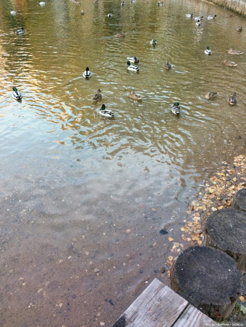 Сережа в лесу — Куклы Paola Reina (Паола Рейна): новинки (фото 7)