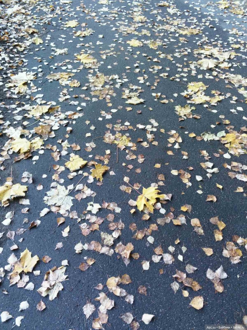 Сережа в лесу — Куклы Paola Reina (Паола Рейна): новинки