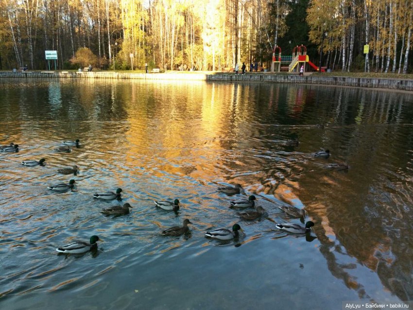 Сережа в лесу — Куклы Paola Reina (Паола Рейна): новинки (фото 9)