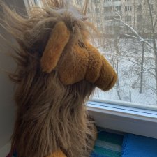 На Землю тихо опустилась Зима