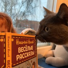 Пижамное утро