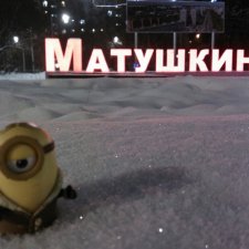 Миньон в Матушкино