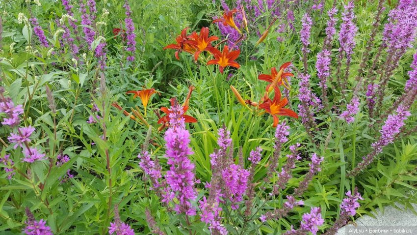 Мали на прогулке — Куклы Paola Reina (Паола Рейна): новинки (фото 2)