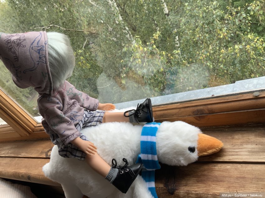 Приключения Нильса и Серёжи (фото 6)