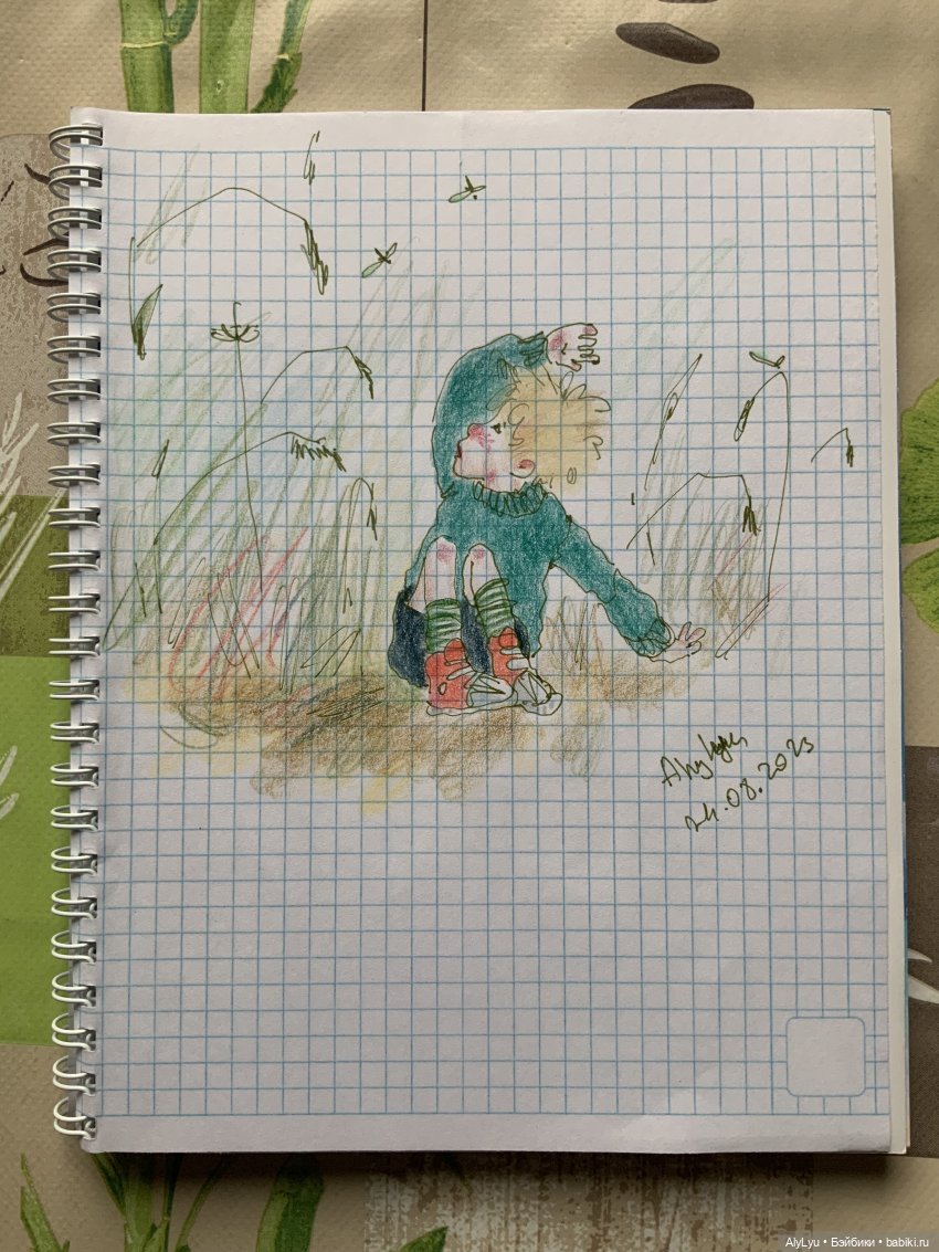 Приключения Нильса и Серёжи (фото 10)