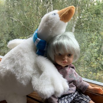 Приключения Нильса и Серёжи