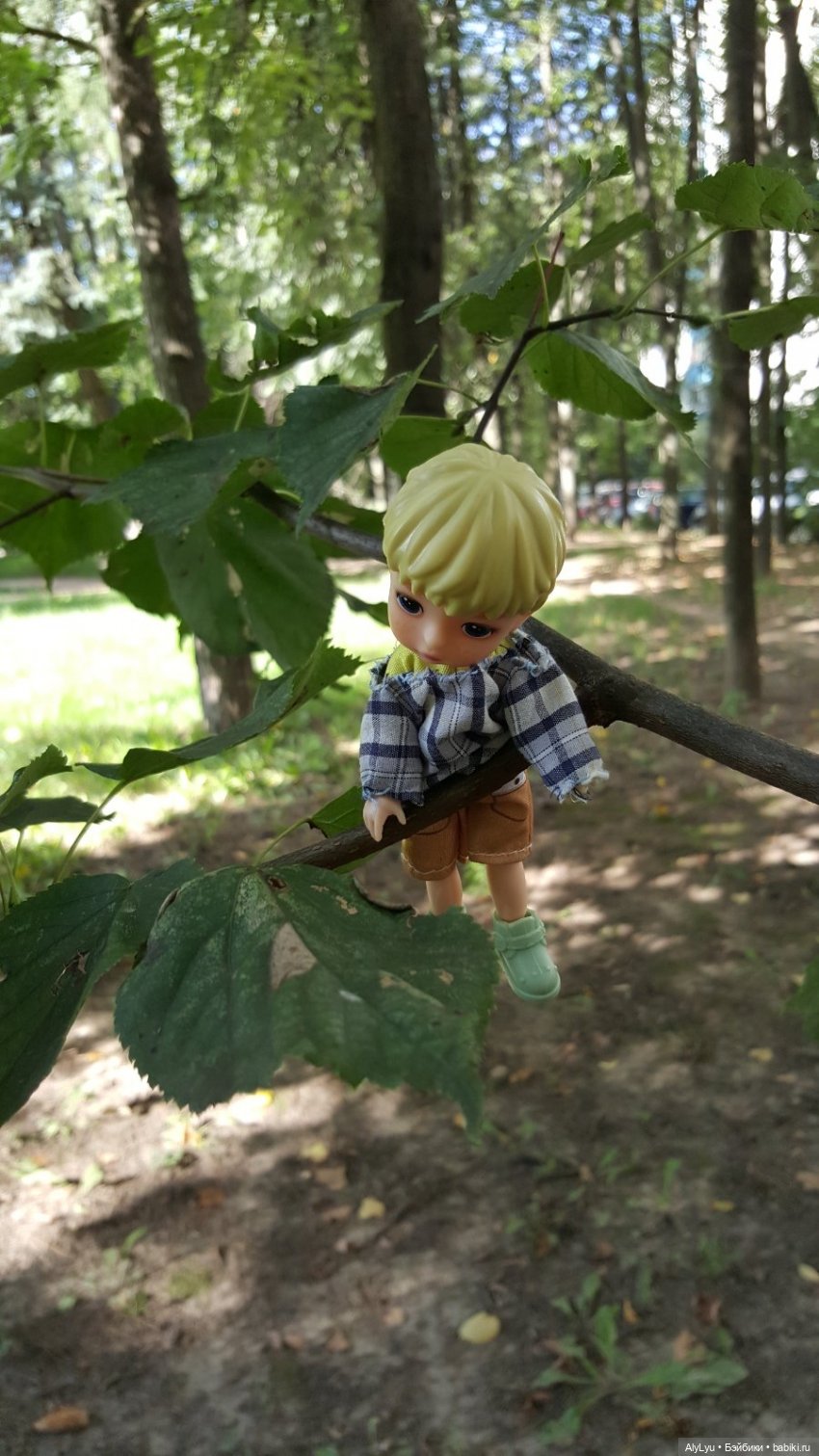 На белой скале или на черных камнях (фото 9)