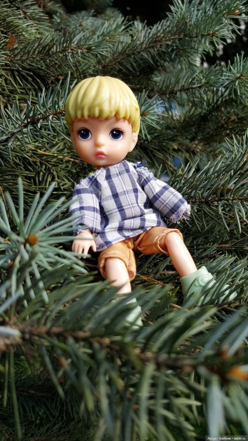 На белой скале или на черных камнях