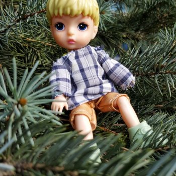 На белой скале или на черных камнях?