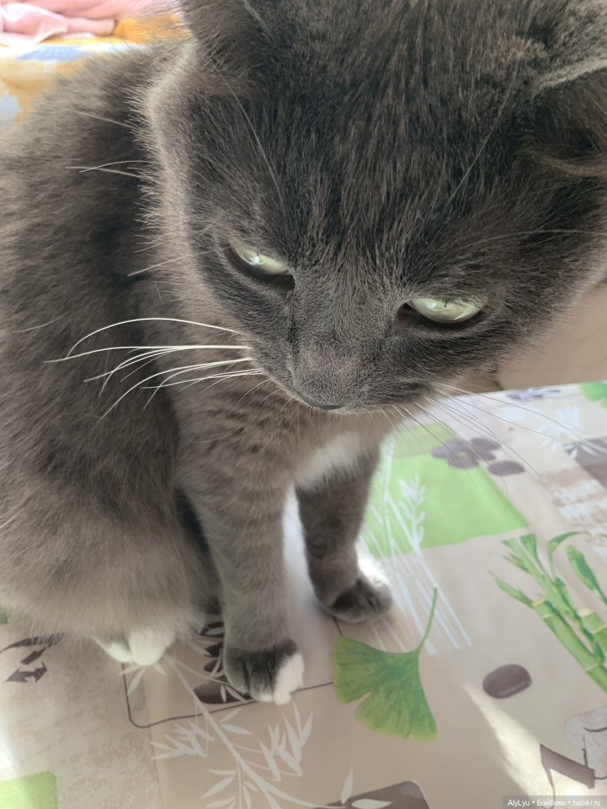 Сентябрь и новые рисунки — Рисование и арт: скетчи (фото 3)