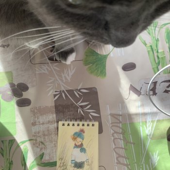 Сентябрь и новые рисунки