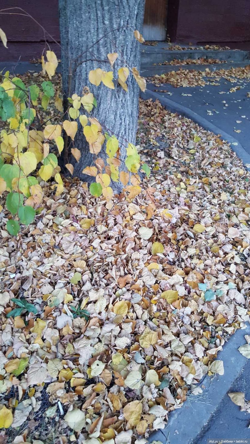 Мали читает Чехова — Куклы Paola Reina (Паола Рейна): новинки