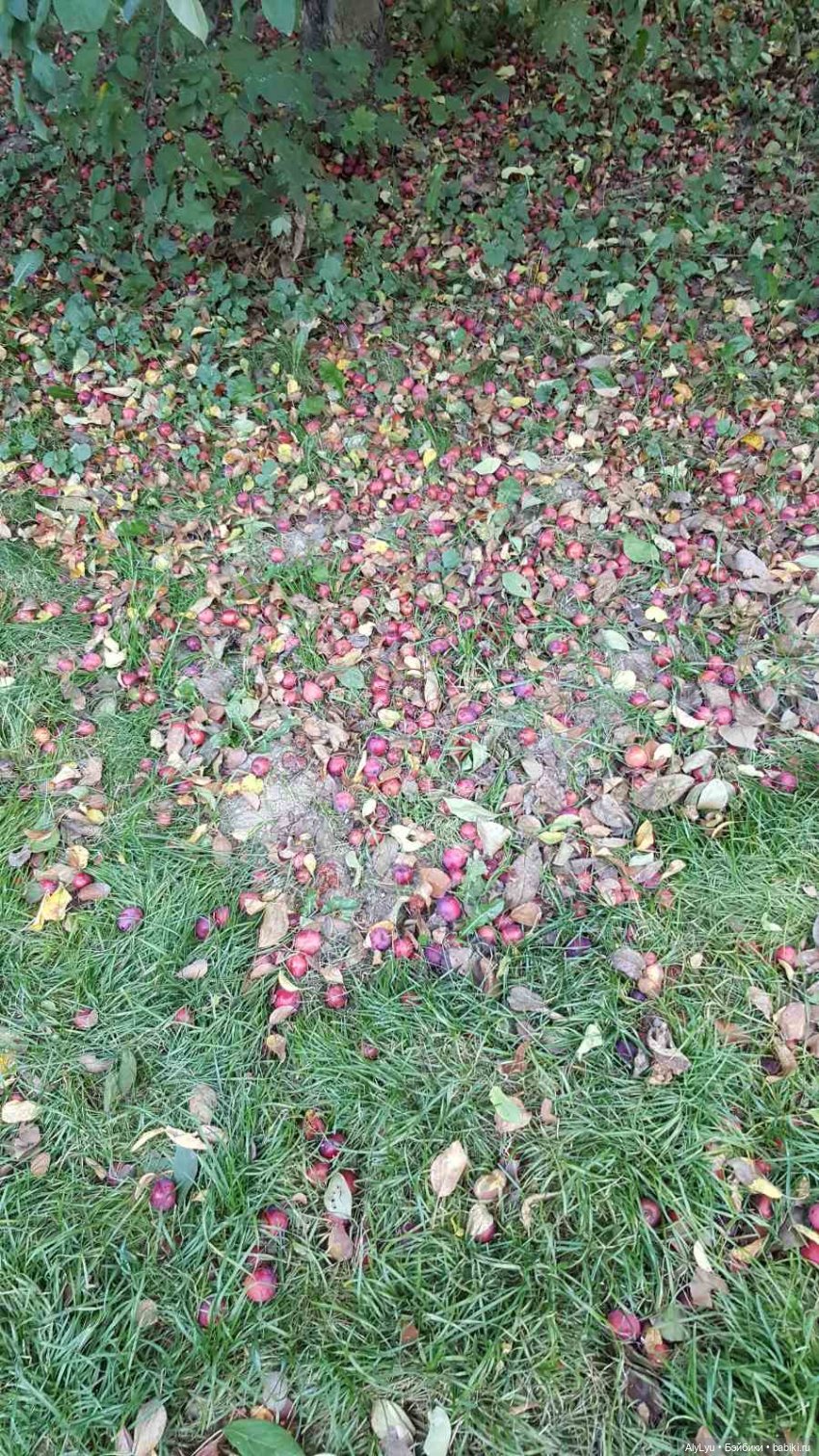 Мали читает Чехова — Куклы Paola Reina (Паола Рейна): новинки