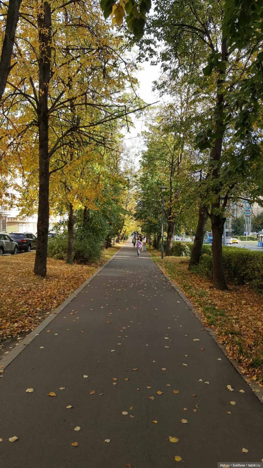 Осень продолжается. Новые рисунки 🎨