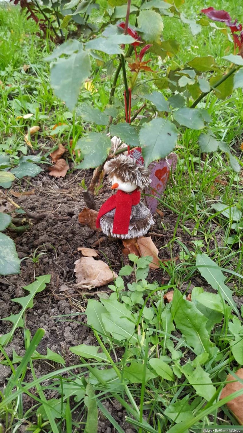 В саду «Аквариум» — Интересные игрушки и фигурки (разное): редкие (фото 5)