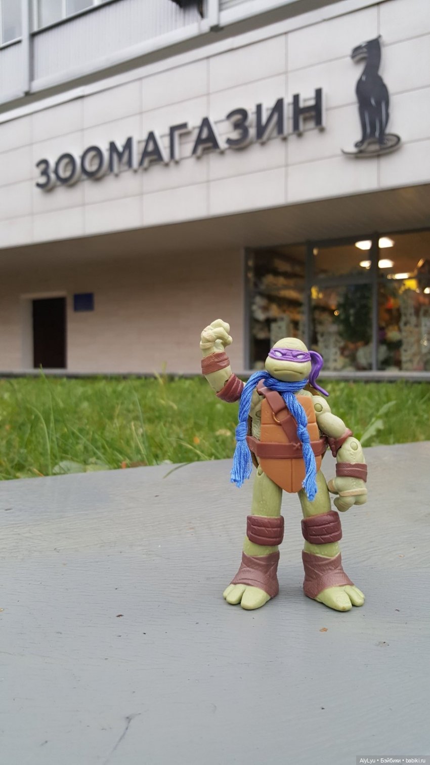 Донаталло и осенний флешмоб (фото 2)