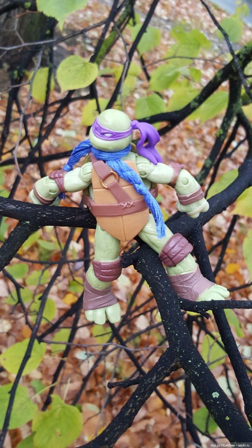 Донаталло и осенний флешмоб (фото 7)