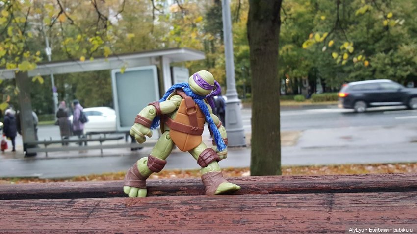 Донаталло и осенний флешмоб (фото 6)