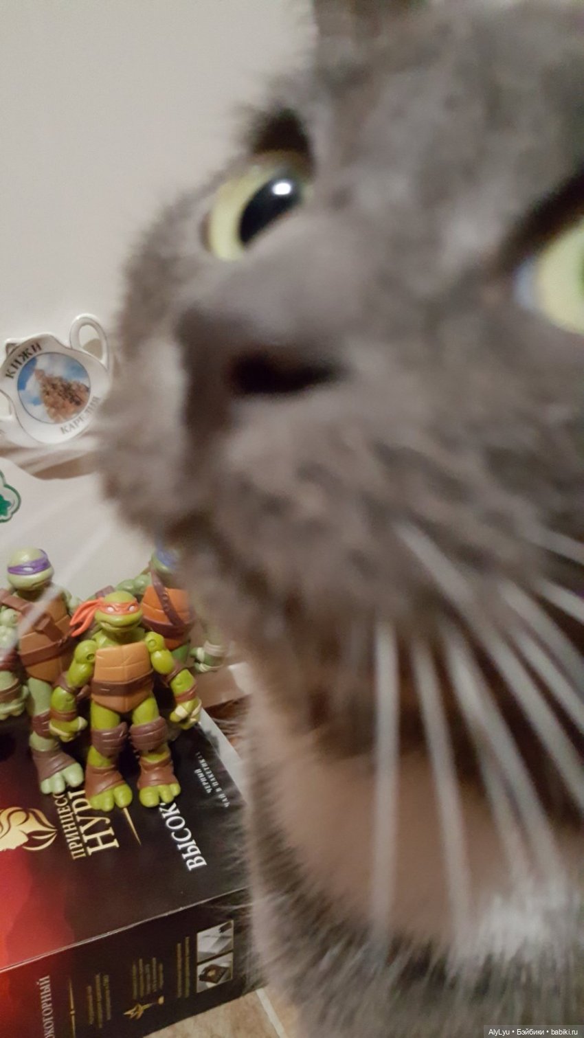 Донаталло и осенний флешмоб