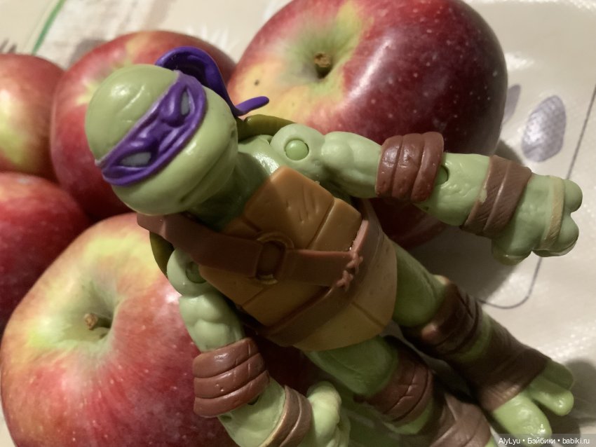 Донаталло и осенний флешмоб (фото 9)