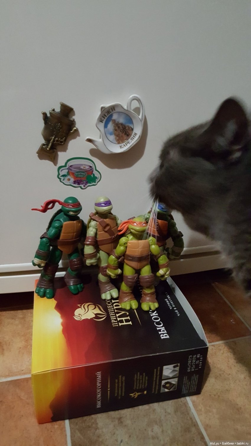 Донаталло и осенний флешмоб