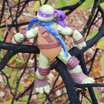 Донаталло и осенний флешмоб