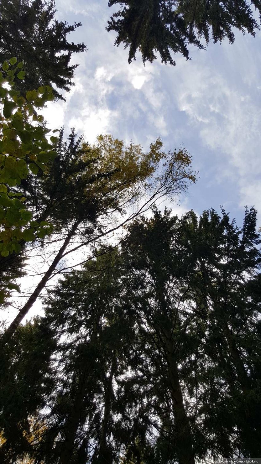 В лесу — Интересные игрушки и фигурки (разное): редкие (фото 4)