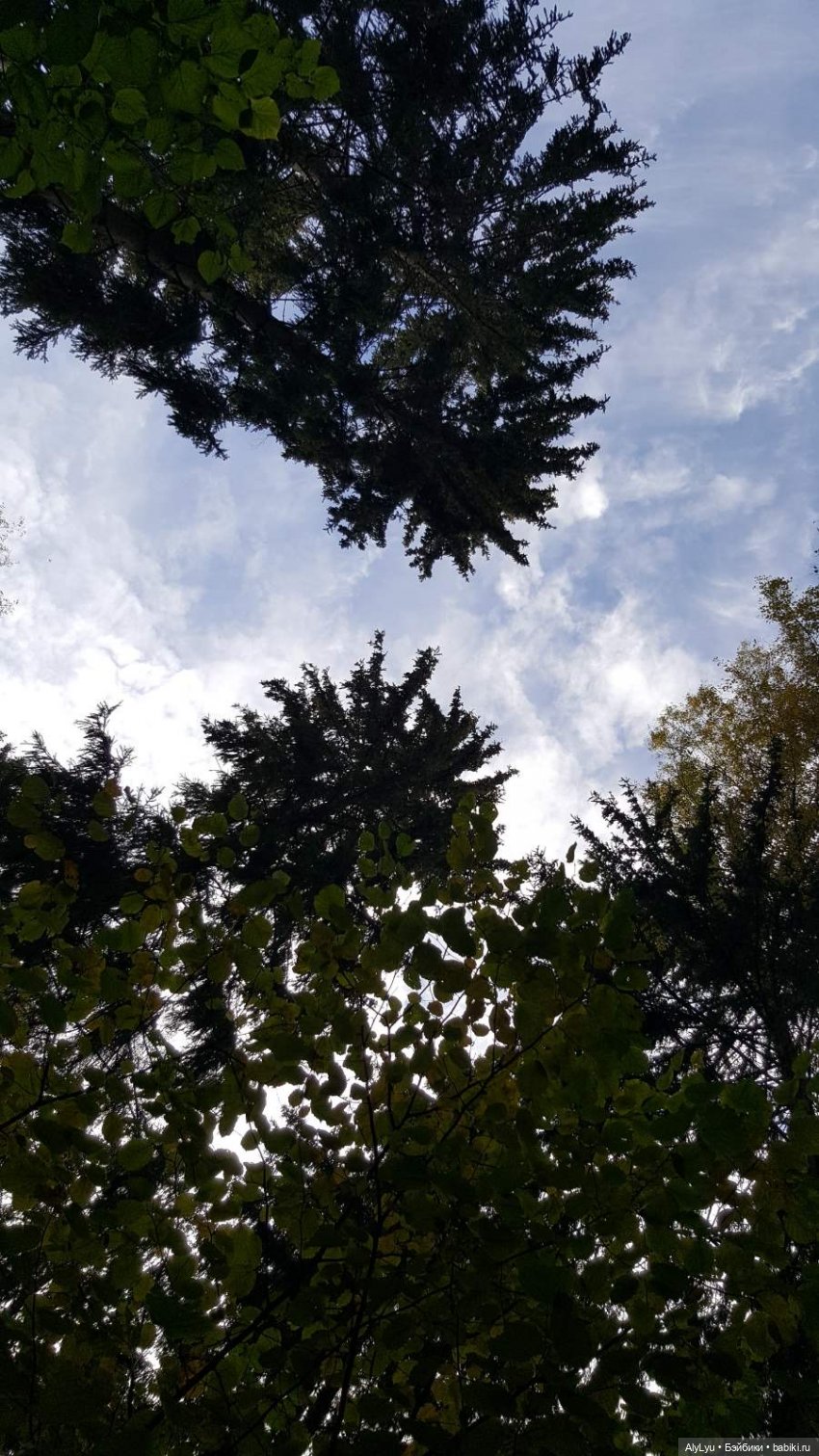 В лесу — Интересные игрушки и фигурки (разное): редкие (фото 2)