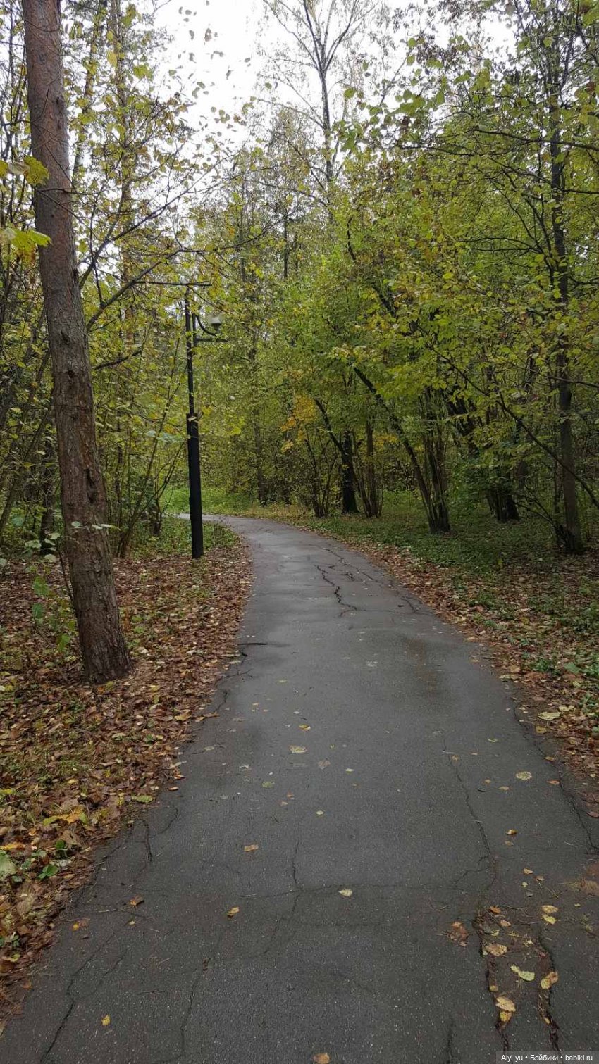 В лесу — Интересные игрушки и фигурки (разное): редкие