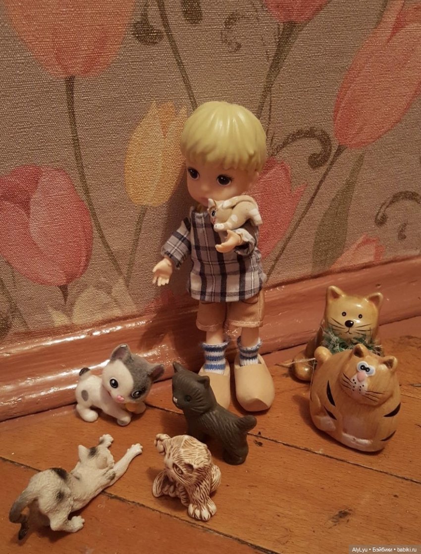 Мальчик из страны тюльпанов