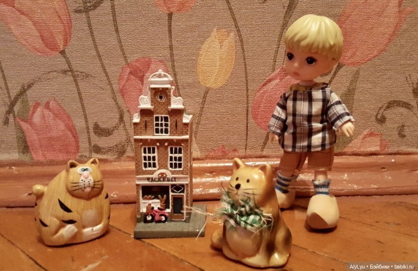 Мальчик из страны тюльпанов