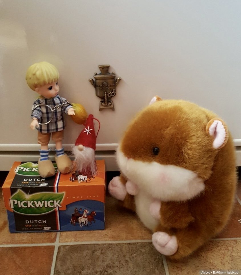 Мальчик из страны тюльпанов