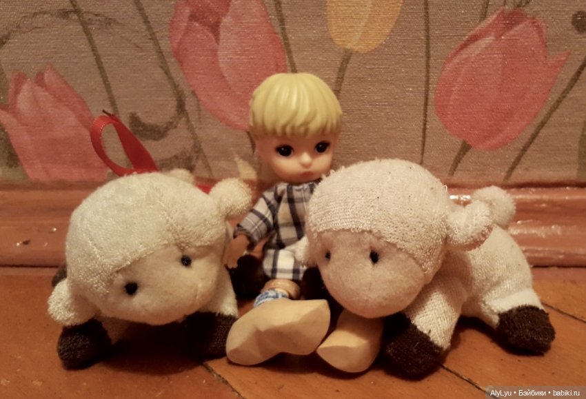 Мальчик из страны тюльпанов (фото 10)