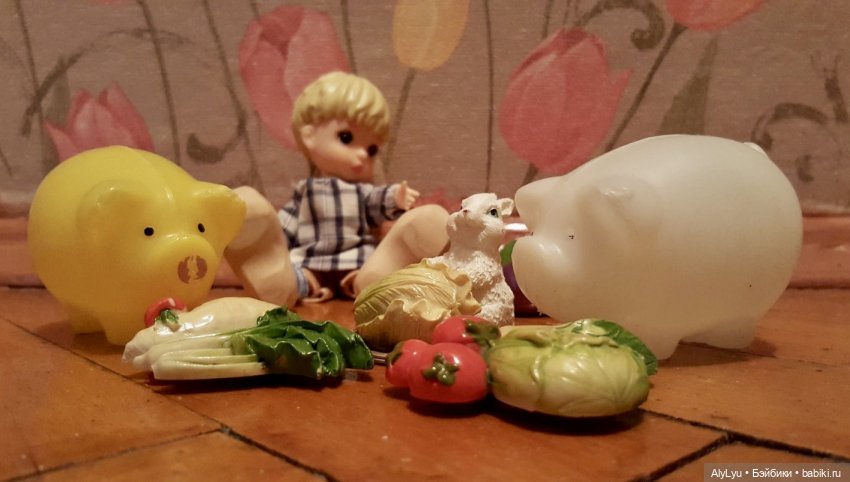 Мальчик из страны тюльпанов (фото 9)