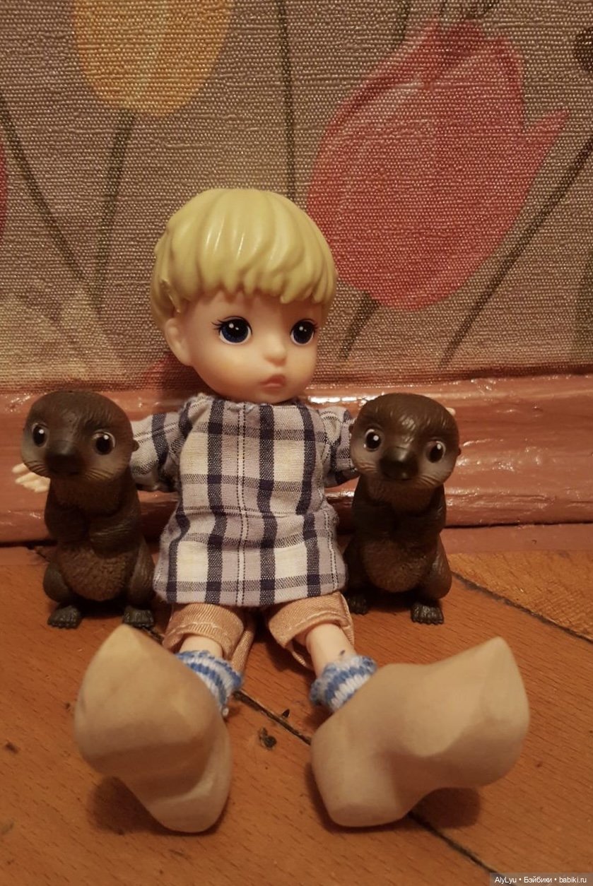 Мальчик из страны тюльпанов