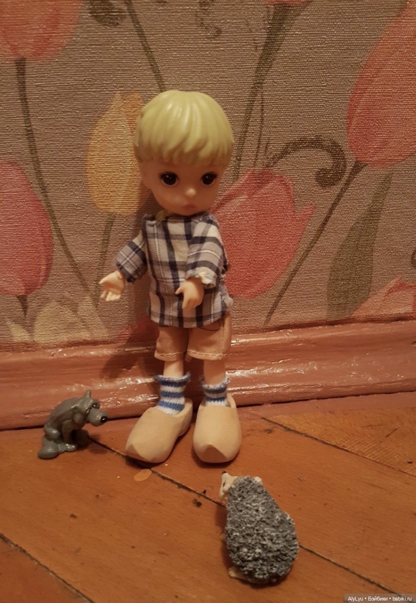 Мальчик из страны тюльпанов